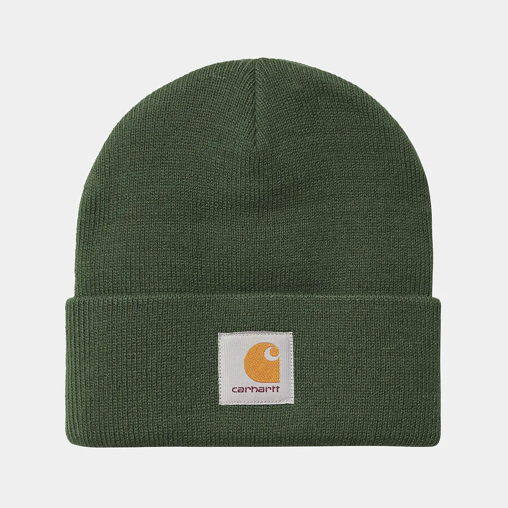    Carhartt WIP - Short Watch Hat - Sycamore