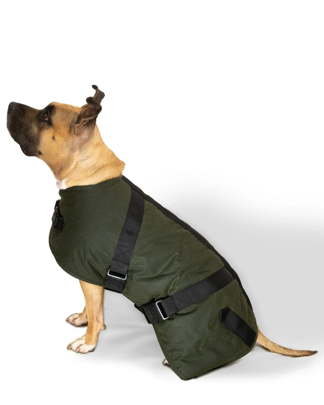 Clancy Oilskin Canine Coat