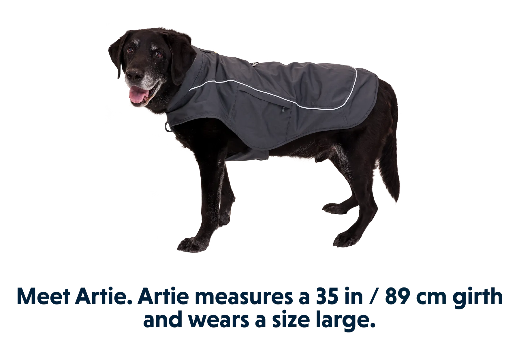 Overcoat Fuse Dog Jacket