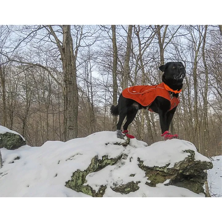 Ruffwear Overcoat Fuse Harness Jacket