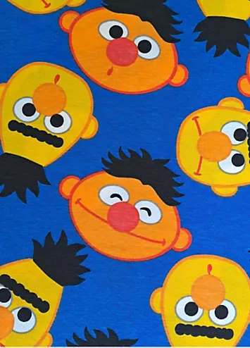 Sesame Street Men’s Bert & Ernie Lounge Pants | Grattan