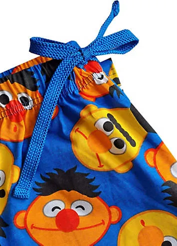 Sesame Street Men’s Bert & Ernie Lounge Pants | Grattan