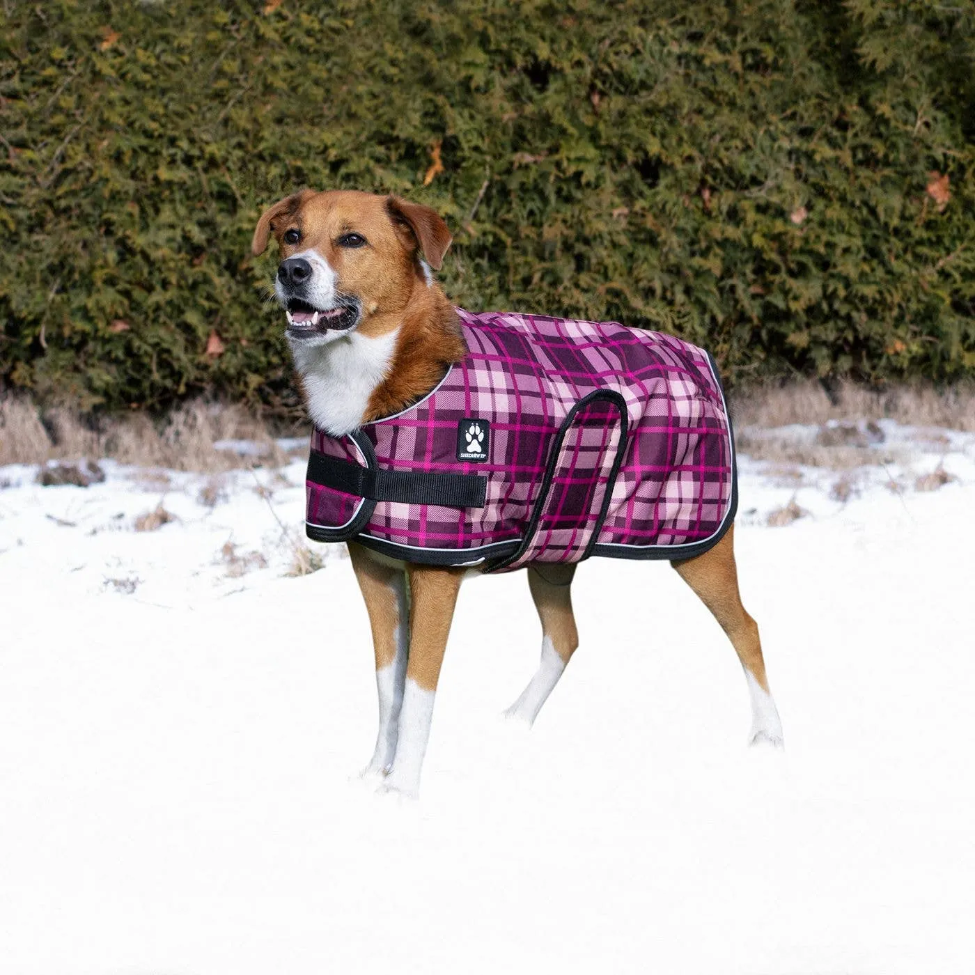 Shedrow K9 - Shedrow K9 Glacier Dog Coat - Potent Purple Plaid: Medium