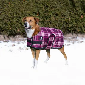 Shedrow K9 - Shedrow K9 Glacier Dog Coat - Potent Purple Plaid: Medium